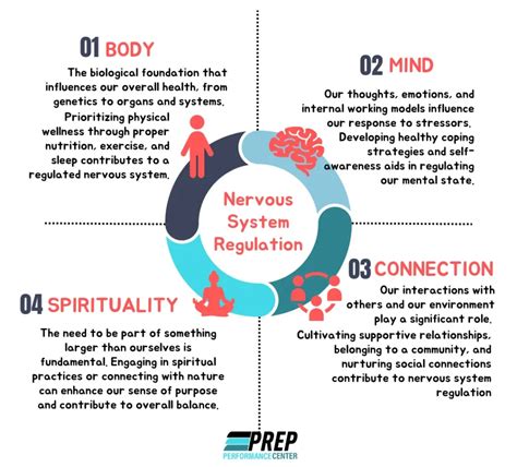 https://prepperformancecenter.com/wp-content/uploads/2023/09/nervous-system-regulation-e1694015687735-1024x926.webp?utm_source=chatgpt.com