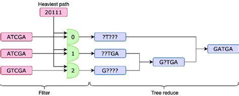 Rezultat imagine pentru Consensus Sequence Example
