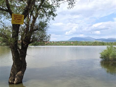 Otkrijte Bovansko jezero - Prirodna lepota nedaleko od Sokobanje ...