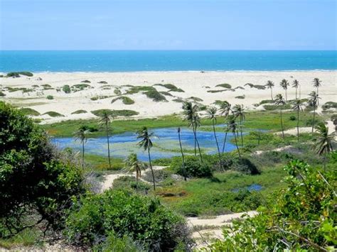 The 10 Best Hotel Deals in Cascavel (Jun 2025) - Tripadvisor