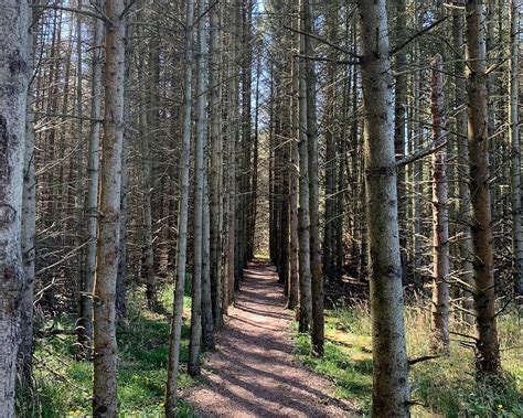 10 BEST Places to Visit in Saltum - UPDATED 2022 (with Photos & Reviews ...
