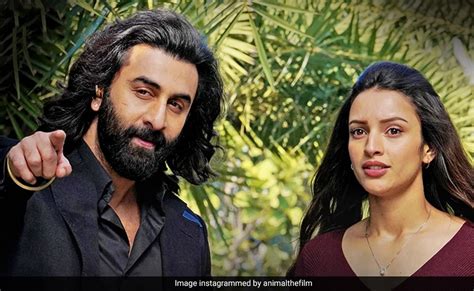 Animal Box Office Collection Day 6: एनिमल की आंधी में पीछे छूट गया ...