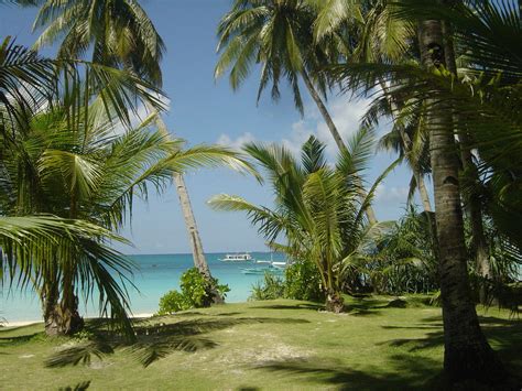 Free Computer Screensaver 的图像结果