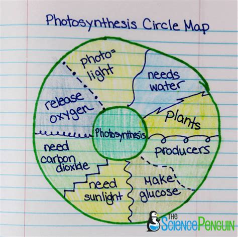 Image result for Thinking Maps Single Circle