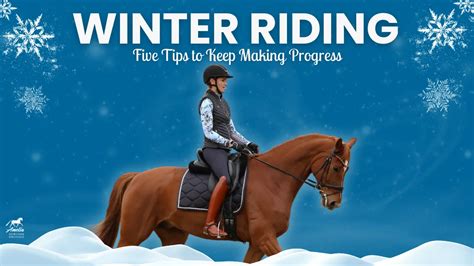 Image result for USDF 1st Level Test 3