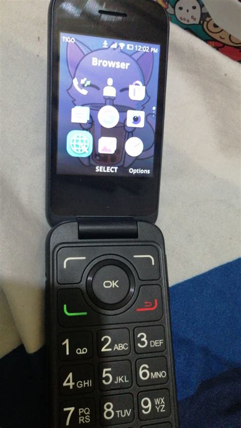 Image result for Using Flip Phone