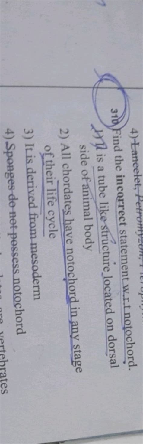 Find the incorrect statement w.r.t notochord. 1) It is a tube like struc..