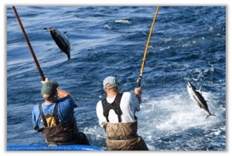 Image result for Catch Fish Methods