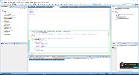 Host Java Support 的图像结果