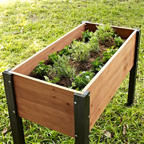 Incredible Raised Beds Container Garden Information 2023