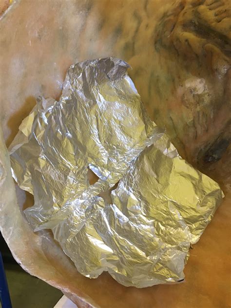 Image result for Alien Eggs Inside Female