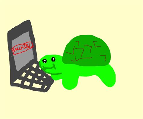 Image result for Turtle Coding