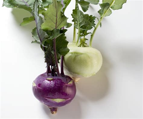 Kohlrabi Auf Ungarisch - Rezepte Suchen