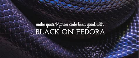 Image result for Black Formatted Python vs Regular Python
