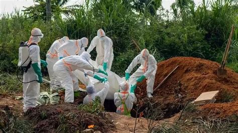 最可怕传染病“埃博拉病毒”有了克星，全球首个疫苗获批_腾讯新闻