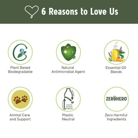 Order Plant-Based Home Cleaning Products Online | Clean Alternatives ...