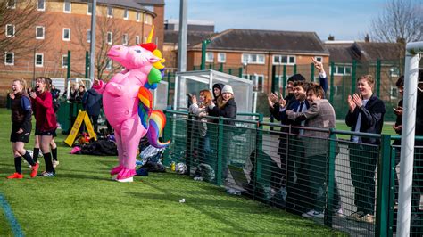 Elite Athletes - painting of unicorn in fence