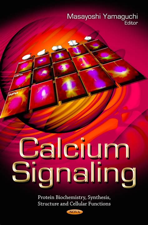 Buy Calcium Signaling (Protein Biochemistry, Synthesis, Structure and ...