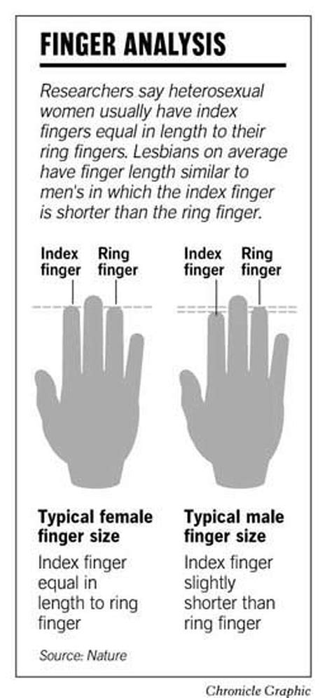 Finger Length Points to Sexual Orientation / Anatomy quirk called ...
