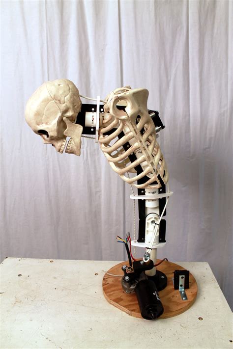 Animatronics Tutorial 的图像结果