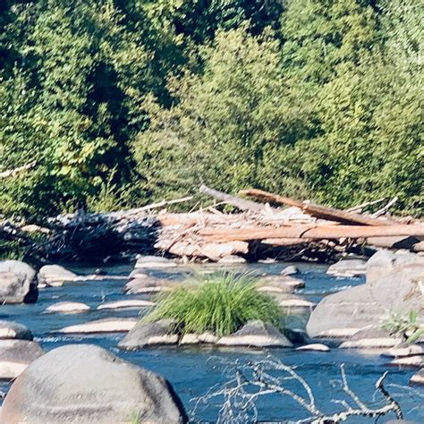 Tucker Park Campground | Hood River, Oregon