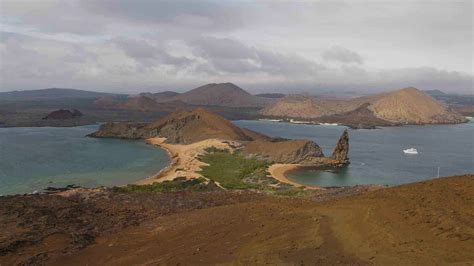 Cruise to Baltra, Ecuador | Galapagos Cruises