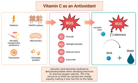 Antioxidant and Anti-Tumor Effects of Dietary Vitamins A, C, and E