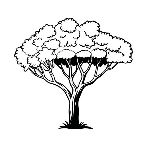 Image result for Platform Code Pygame