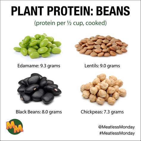 How Much Protein In Refried Beans Vs. Other Legumes