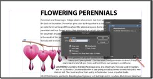 Image result for InDesign Layer Mode