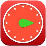 Image result for Pro Form Timer