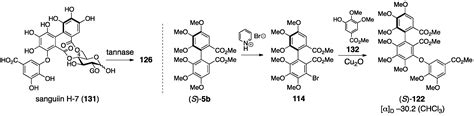 Structural Revisions in Natural Ellagitannins
