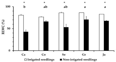 Responses and Differences in Tolerance to Water Shortage under Climatic ...