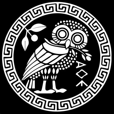 Musaeum 的图像结果