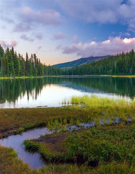 Find Out Your Favorite Bakery in Bend Oregon | Bend Vacation Rentals