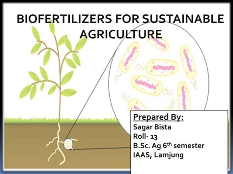 Biofertilizers 的图像结果