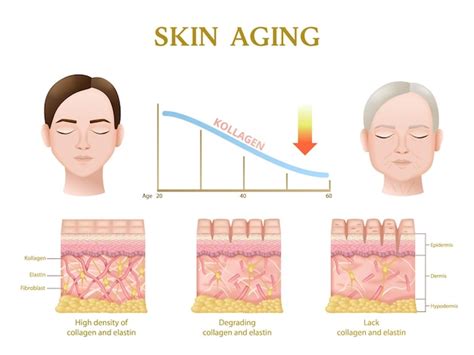 Aging Animation 的图像结果