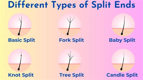 Image result for Split-Ends Explained