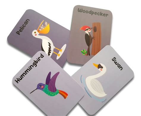 Animal world combo flashcards ( Animals, Birds, Insects and sea animal ...