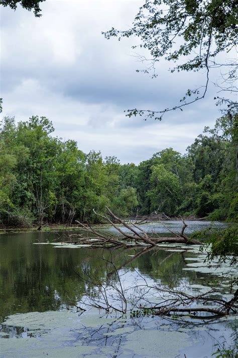 River Road, Georgia - GPS Trail Map, Conditions & Difficulty | onX Offroad