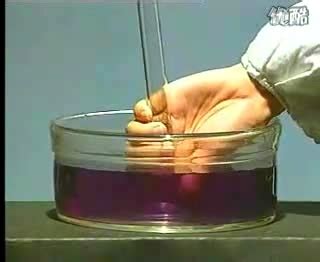 二氧化硫与水反应