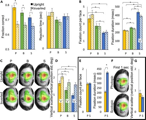 Seeing in the dark: High-order visual functions under scotopic conditions: iScience