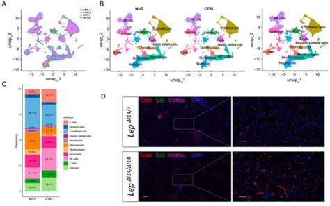 Single-Cell RNA Sequencing Reveals Macrophage Dynamics During MASH in ...