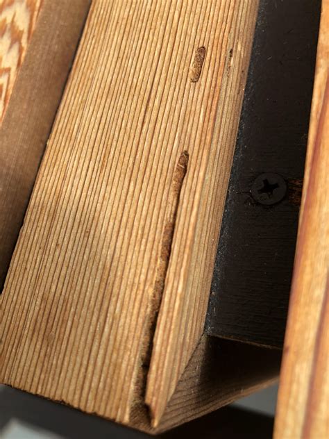 Image result for Insect Mesh On Cedar Cladding