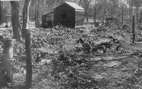 Examples and case studies – AdaptNRM