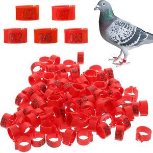 PATPAT 100 Pcs Bird Leg Rings- Numbered Bird Identification Leg Bands ...