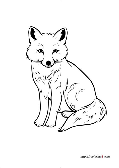 Arctic Fox - Free Coloring Sheet (2024)