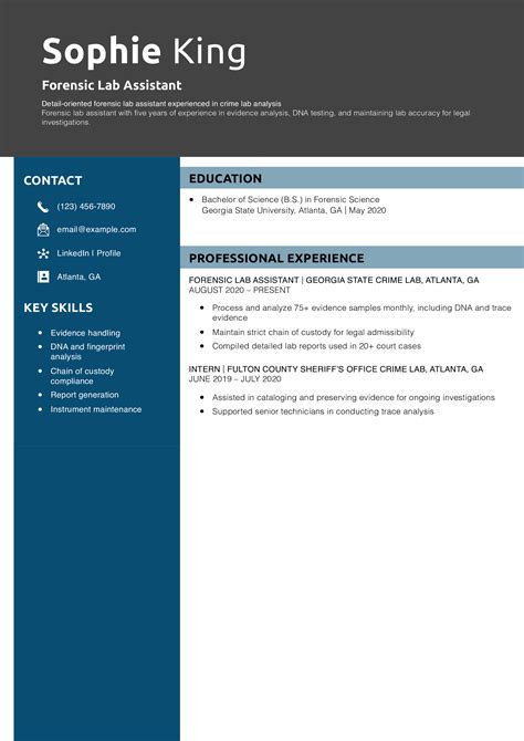 Image result for Computer Lab Assistant Resume