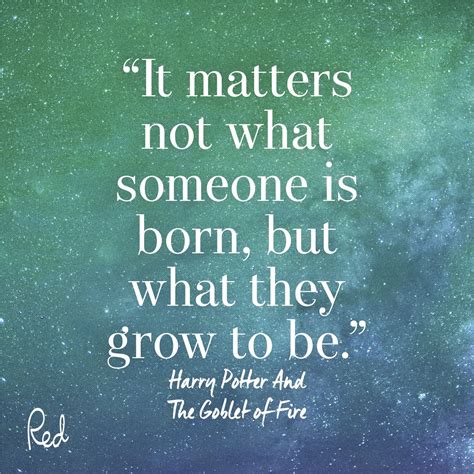 16 of the best harry potter quotes to inspire you – Artofit