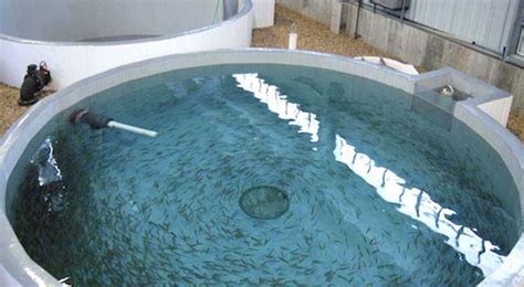 Potters Ferro Cement Tanks